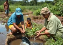 mutirão ambiental