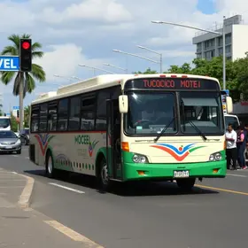 Conceição para Tucuruvi