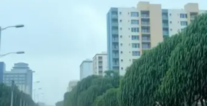 Defesa Civil São Paulo