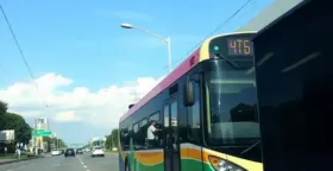 suspensão de linhas de ônibus