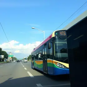 suspensão de linhas de ônibus