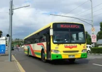 transporte público