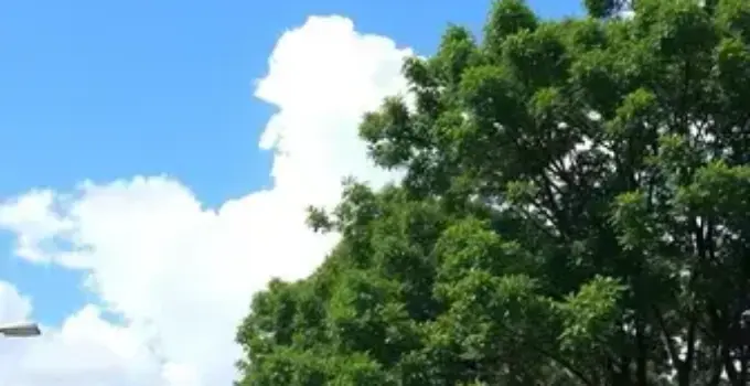 densidade da água