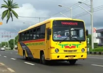 Tamanduateí para Guaianases