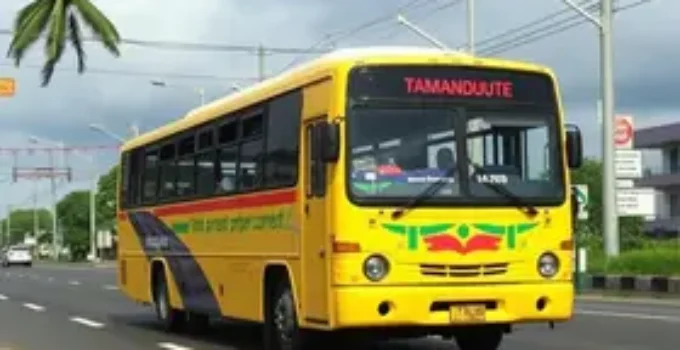 Tamanduateí para Guaianases